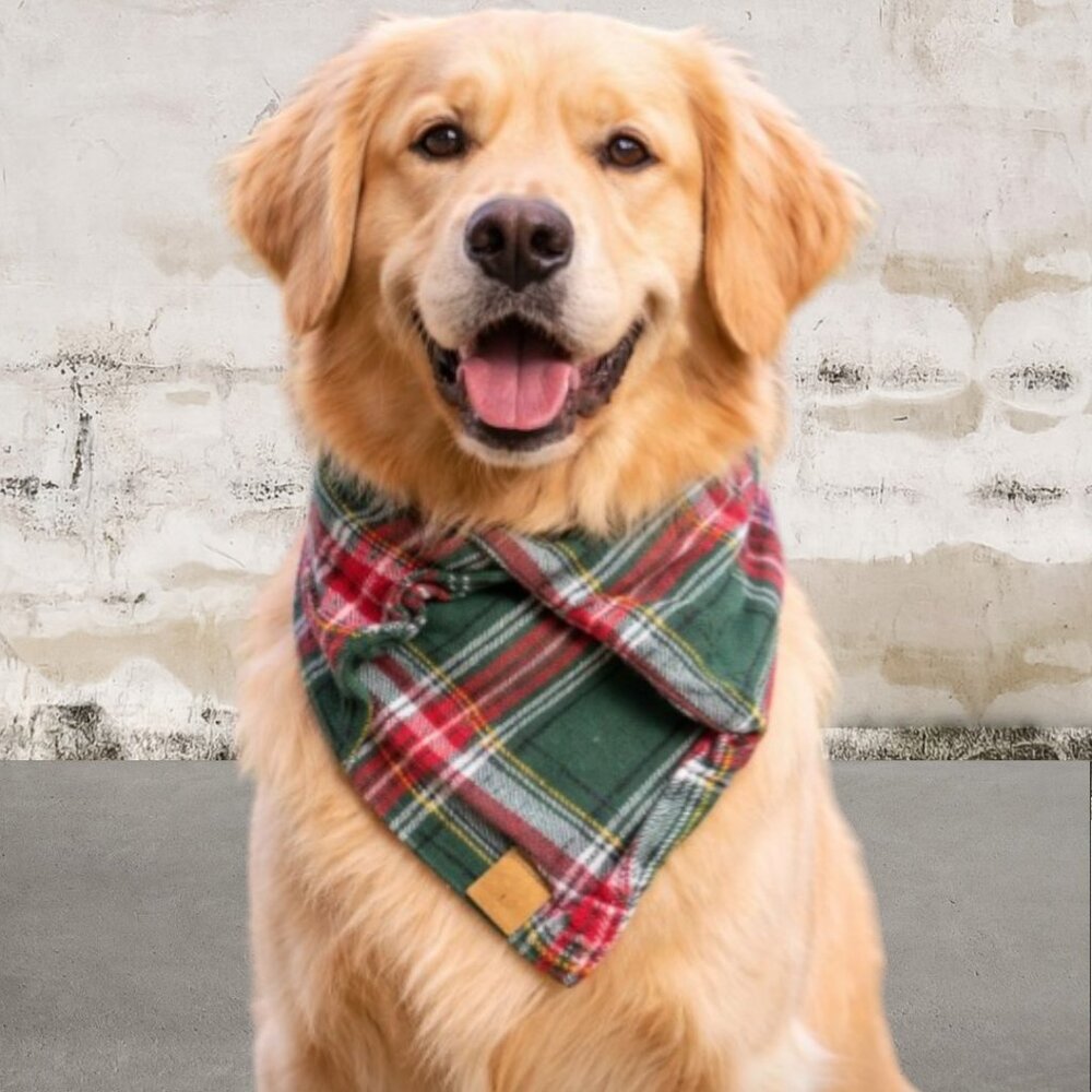 The Foggy Dog Striped Dog Bandana - Size Large